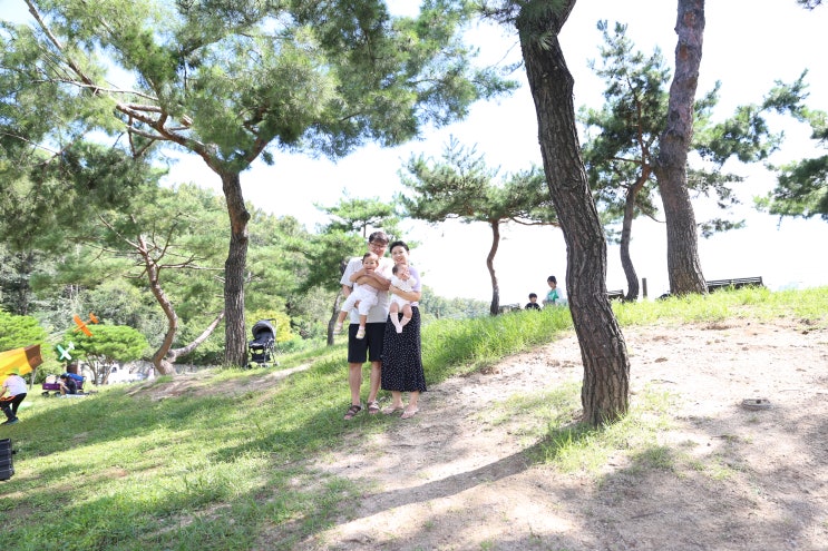  서울 가볼만한곳 북서울 꿈의숲