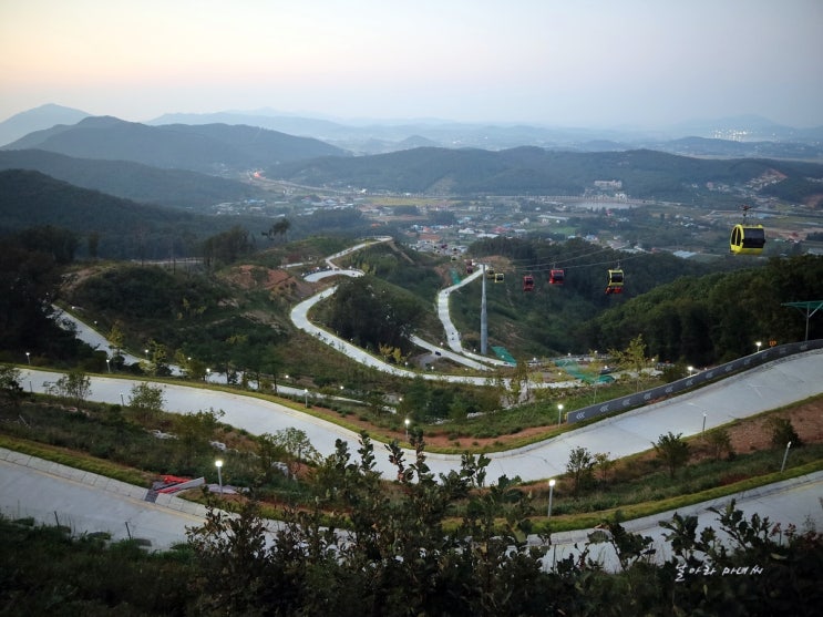  강화도 루지, 완전 꿀잼! 야간개장, 가격정보