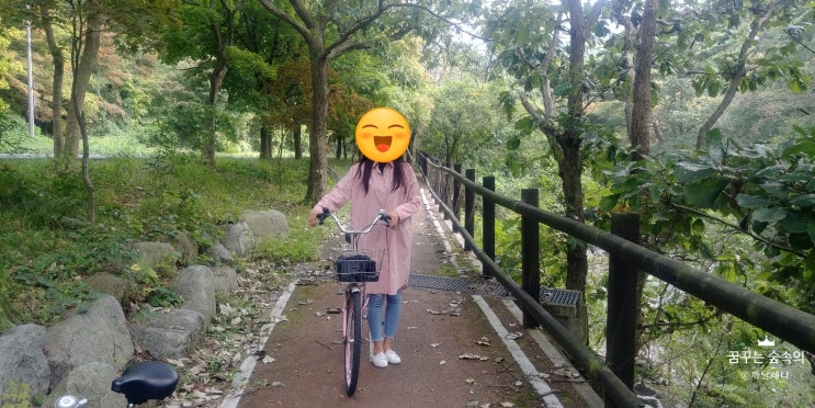 정읍여행 내장산 자전거대여 한시간 1000원/현지인맛집 우렁이쌈밥 국화회관