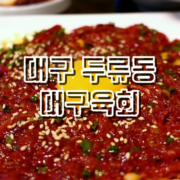  대구 육회 맛집 광코 대구육회
