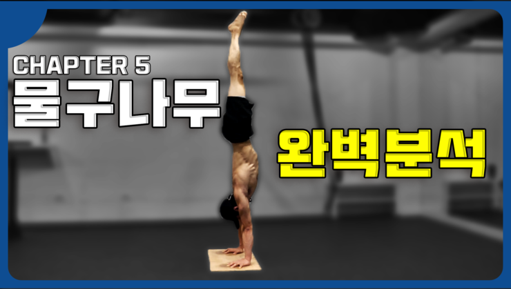  물구나무 심층분석! 포인트레슨!