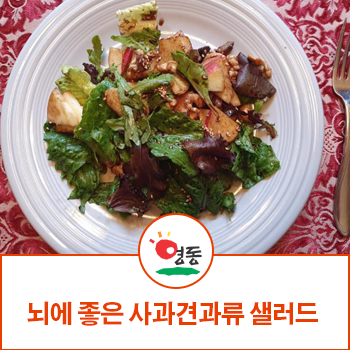  뇌를 좋아지게 하는 음식 사과견과류 샐러드