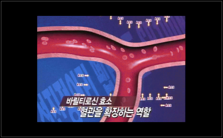  리턴큐정어리펩타이드 가격 가성비!