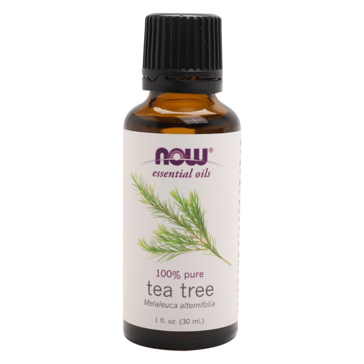  Now Foods 100% 퓨어 티 트리 에센셜 오일, 30ml, 1개