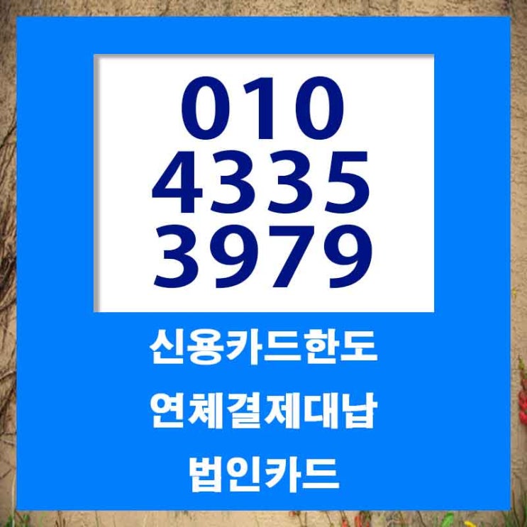  속초카드대납대출 빠르게 단번에!