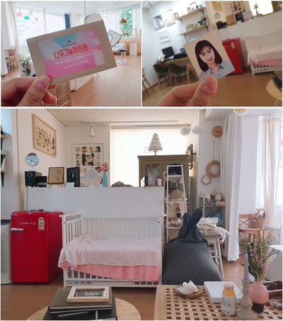  부평 증명사진 잘찍는곳 나무그늘사진관, 가격도 저렴해!
