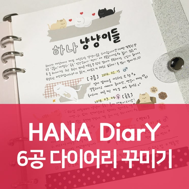  6공 다이어리 꾸미기 :  고양이 뚜디 스티커 다꾸