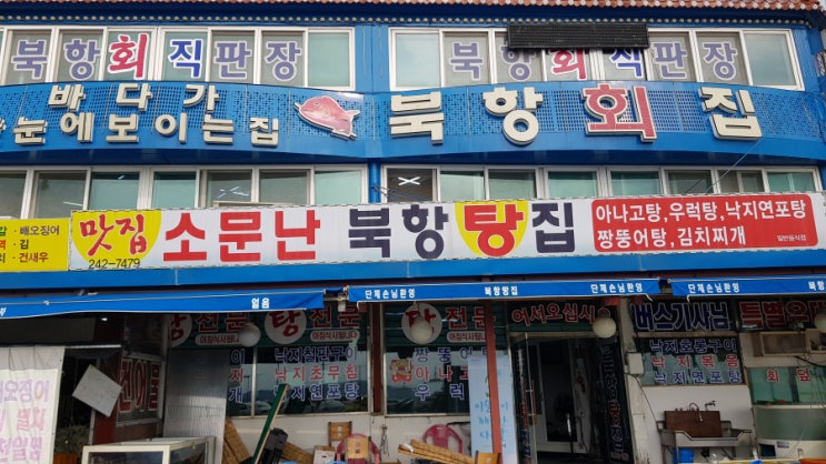  목포횟집 북항횟집 다녀왔어요:)