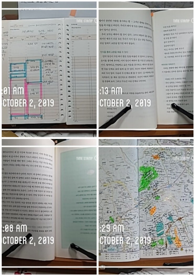  새벽마음정원가꾸기93일차