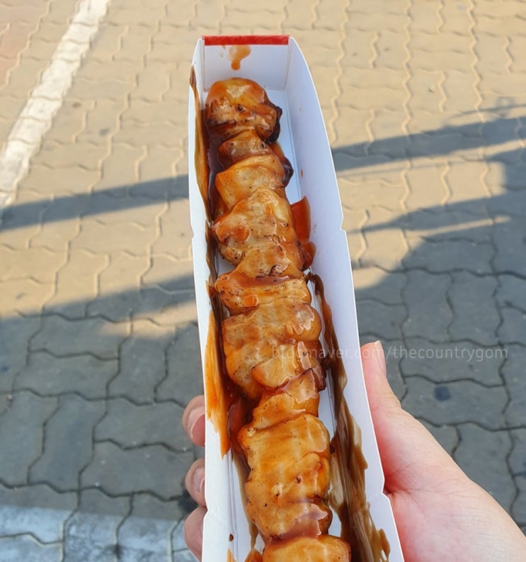  일상블로그 너무 재밌지만,