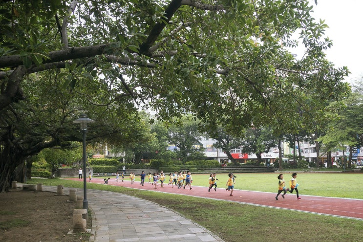  타이완 최초의 학교, 타이난 공자묘대만/타이난 자유여행 [2019/05/07]