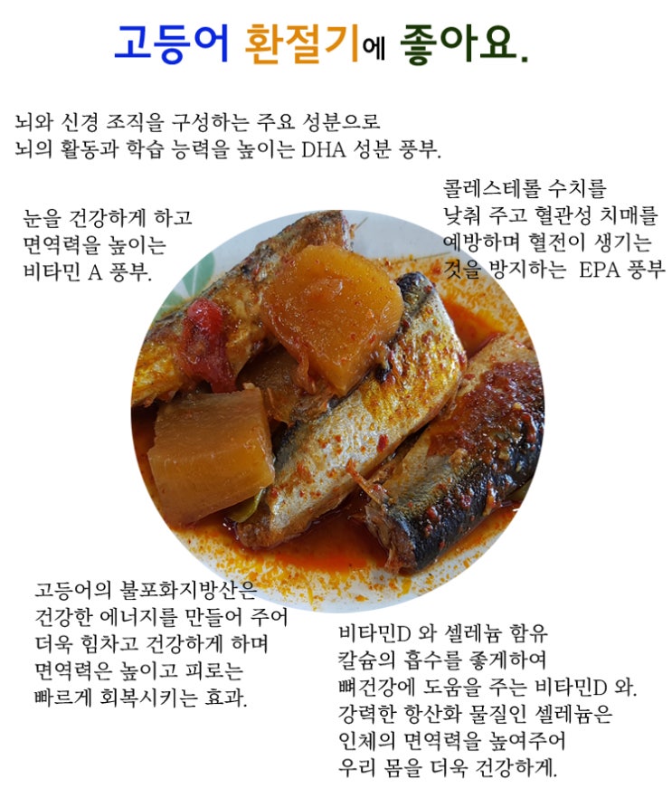  고등어 환절기에 좋아요.