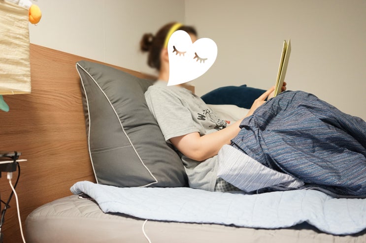  삼각쿠션, 요즘 나의 애정템 집순이 꿀템이에요.
