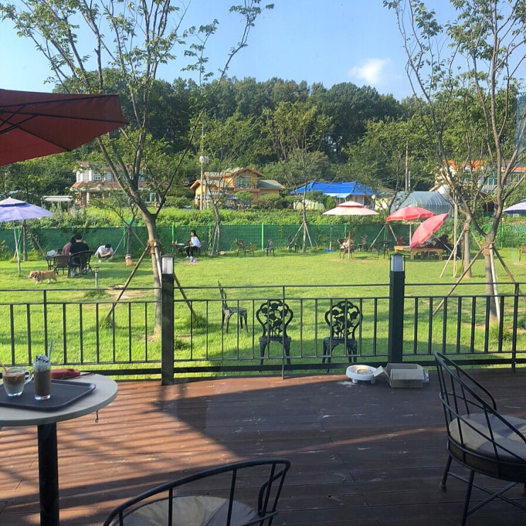  청주외곽애견동반카페/청주강아지놀이터[달이카페]