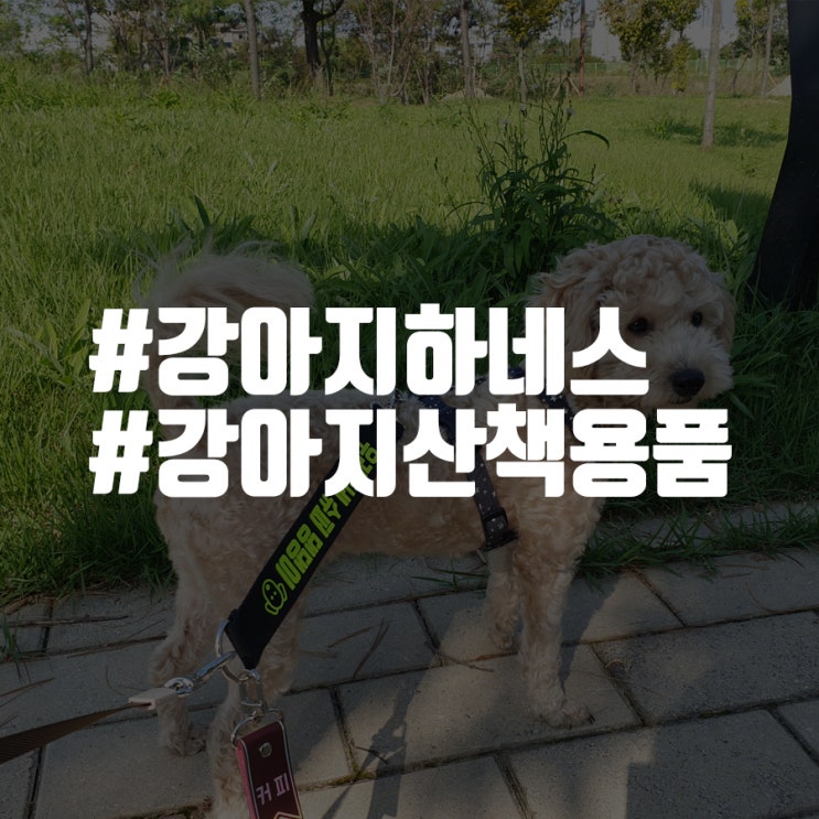  즐거운 산책을 위한 강아지하네스 H형