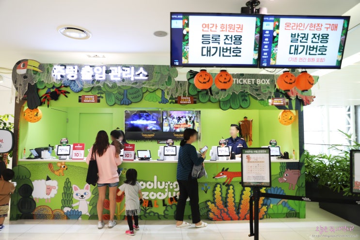  영등포 타임스퀘어 실내동물원 주렁주렁 다녀요!