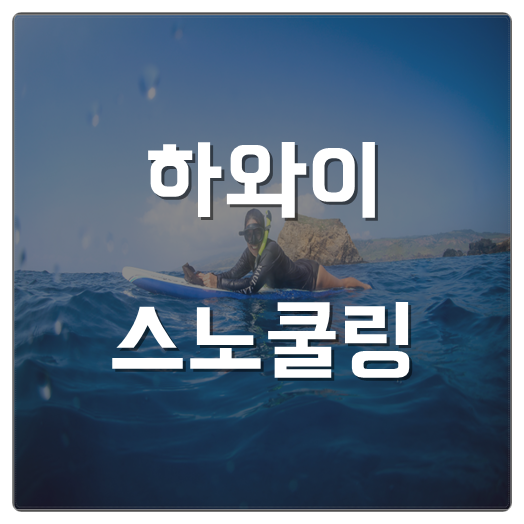  하와이 스노쿨링 알차게 하는 방법!