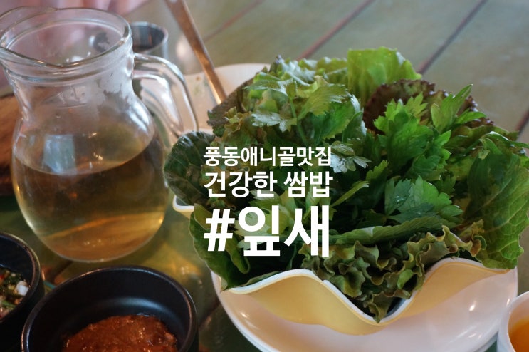 풍동애니골맛집 건강한 쌈밥전문점 잎새