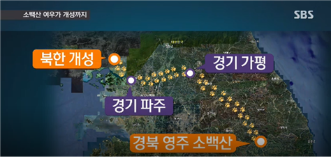  [보도자료] 하태경, “휴전선 튼튼해서 돼지열병 옮는 ‘탈북돼지’ 없다더니…2년간 철책 파손 13건” (19-10-03)