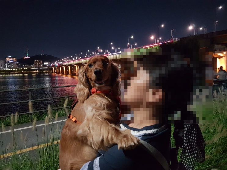  시월의 어느 멋진 날에