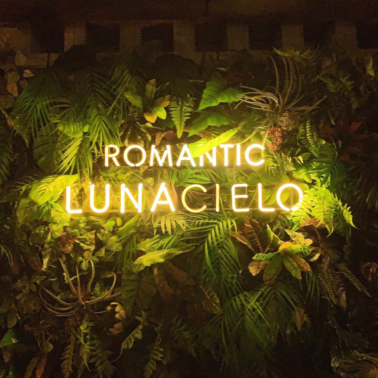 연남동 와인바 루나씨엘로 lunacielo 분위기, 음식 다 취향저격