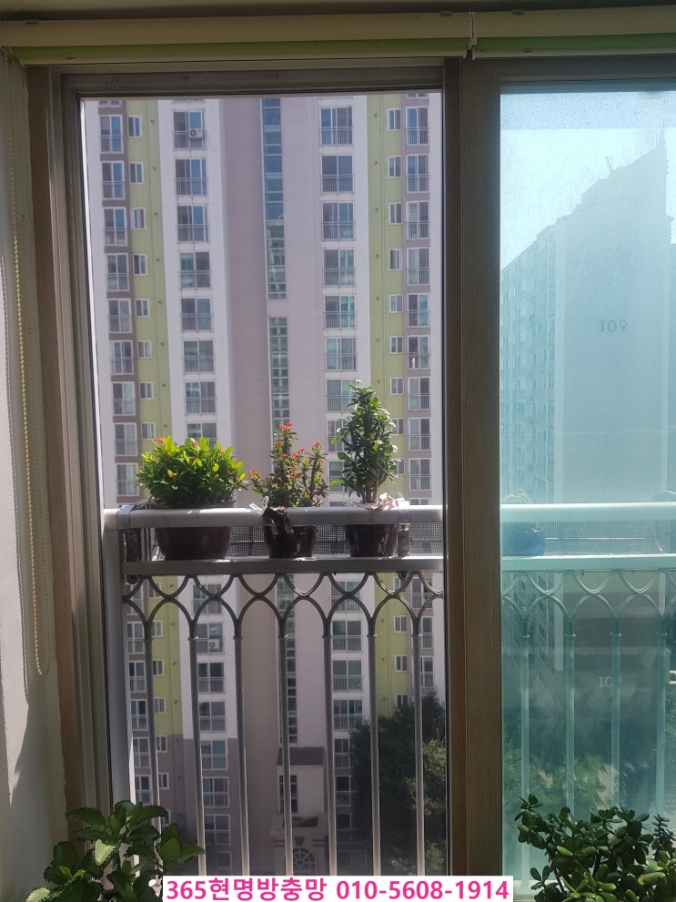  목포방충망업체,방충망추천 - 미세먼지방충망교체 촘촘방충망설치 목포신안인스빌시공건(무안,남악,영암)