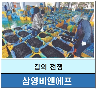 #김제조원#삼영비앤에프정보,김의전쟁