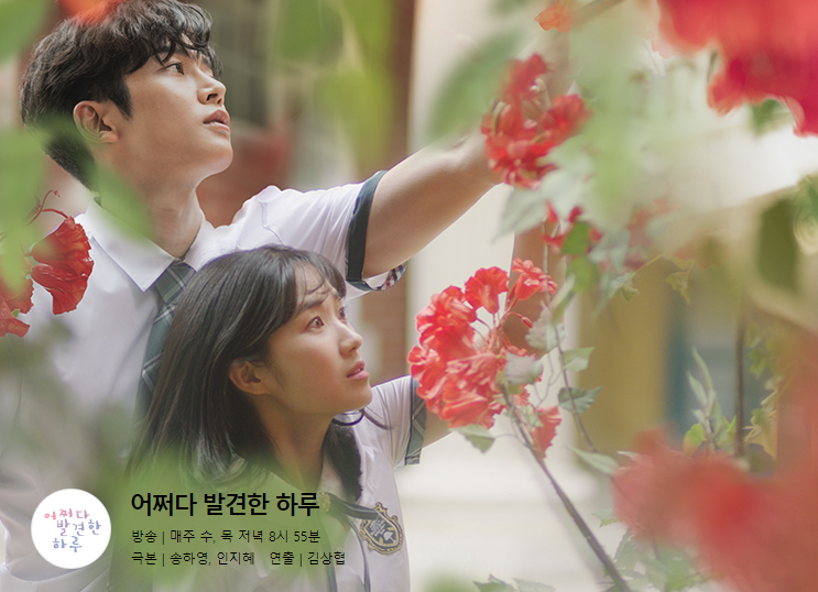  [드라마] 어쩌다 발견한 하루 드라마 인물 관계도
