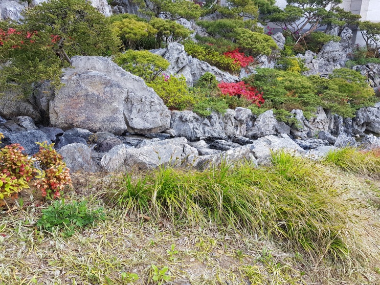  대연3구역 재개발 "10월의 엽서"로 보내 드려요~