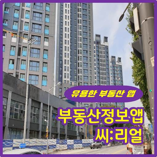  부동산정보 앱 소개 씨리얼