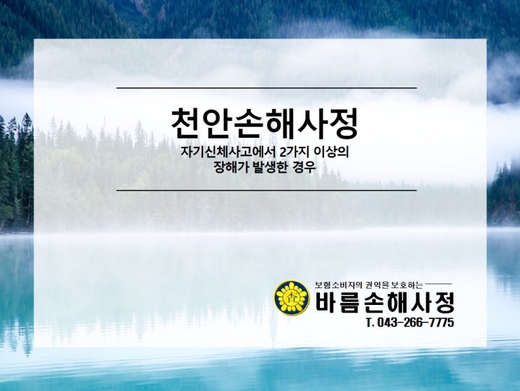  [천안손해사정] 자기신체사고에서 2가지 이상의 장해가 발생한 경우 지급할 보험금