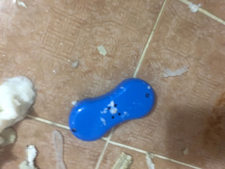  부산 감전동 변기막힘 믿음이 가는 업체