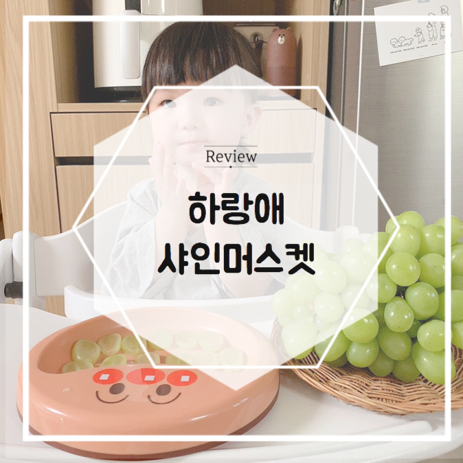  하랑애 샤인머스켓 크기 맛 실화입니까