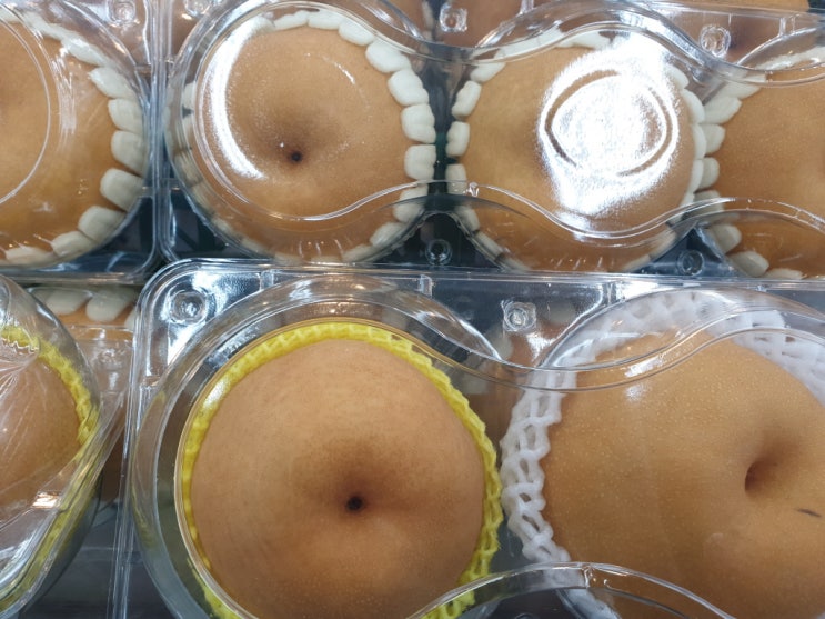  배 효능 알고 먹으면 효과는 두 배!