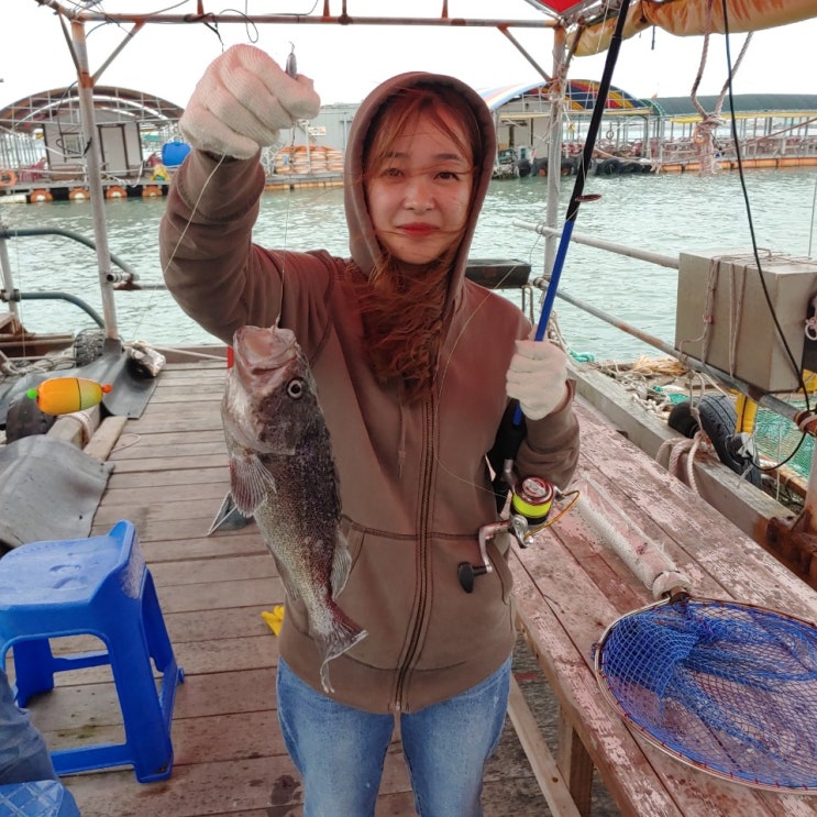  삼길포좌대 우리좌대 삼길포우리좌대 단체낚시 좌대야유회 대부서야유회 워크샾 천마호 우리호 쭈꾸미