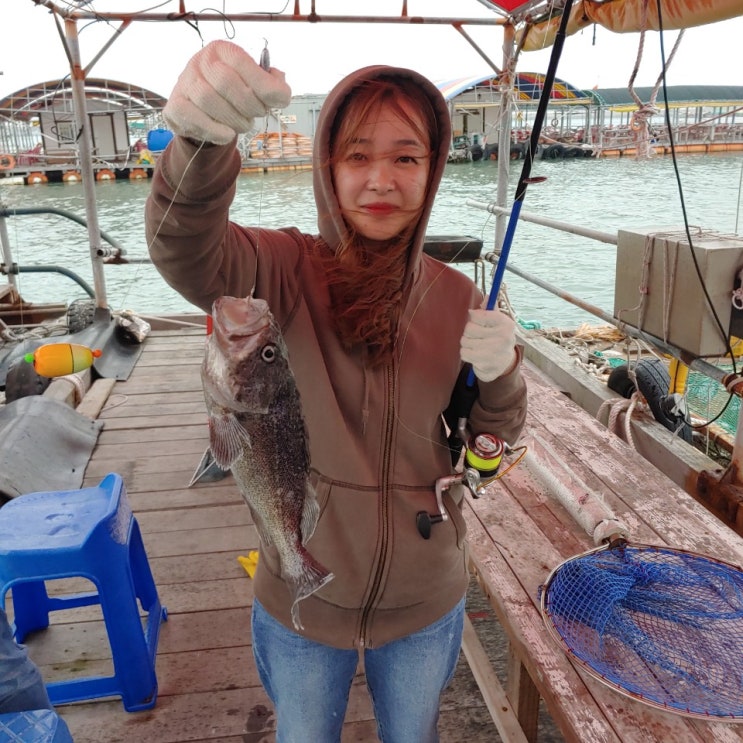 삼길포좌대 우리좌대 삼길포우리좌대 단체낚시 좌대야유회 대부서야유회 워크샾 천마호 우리호 쭈꾸미