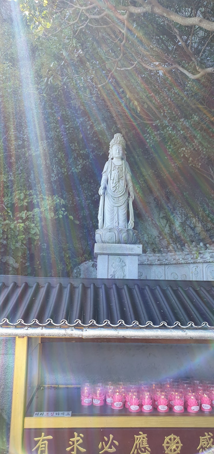  여수여행 여수 절 향일암 올라가는 길~ 인생 뷰를 만나다.
