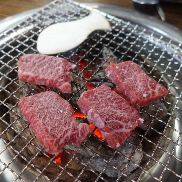  대구 한우 고기 맛집 수성동 우각정본점