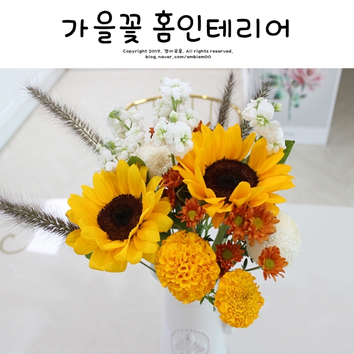홈인테리어 가을꽃으로 홈스타일링 일상 홈인테리어 가을꽃으로 홈스타일링 일상