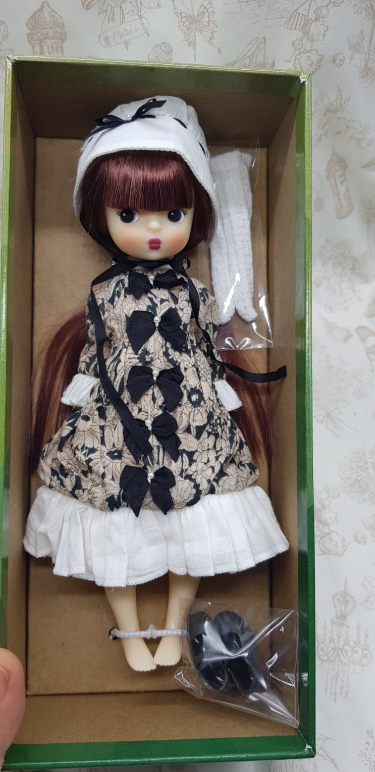  eggy doll 추가  분양안내