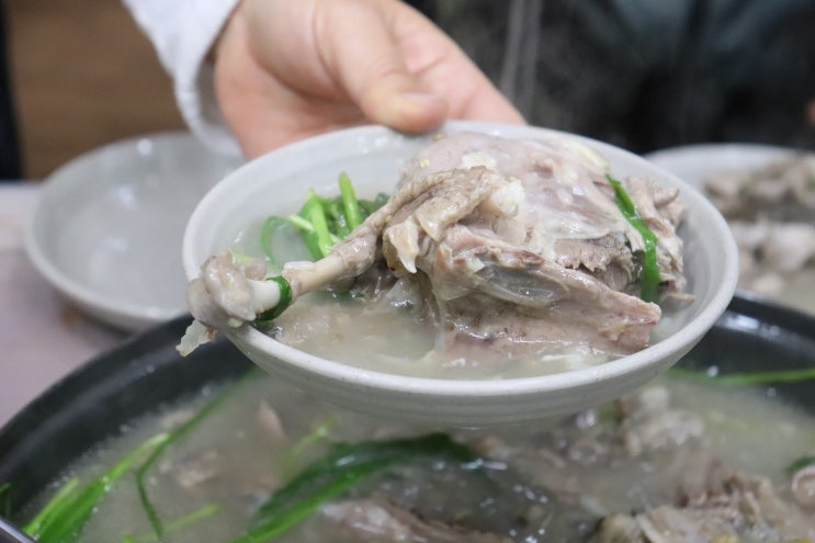  예산출렁다리 맛집 청미래 오리백숙
