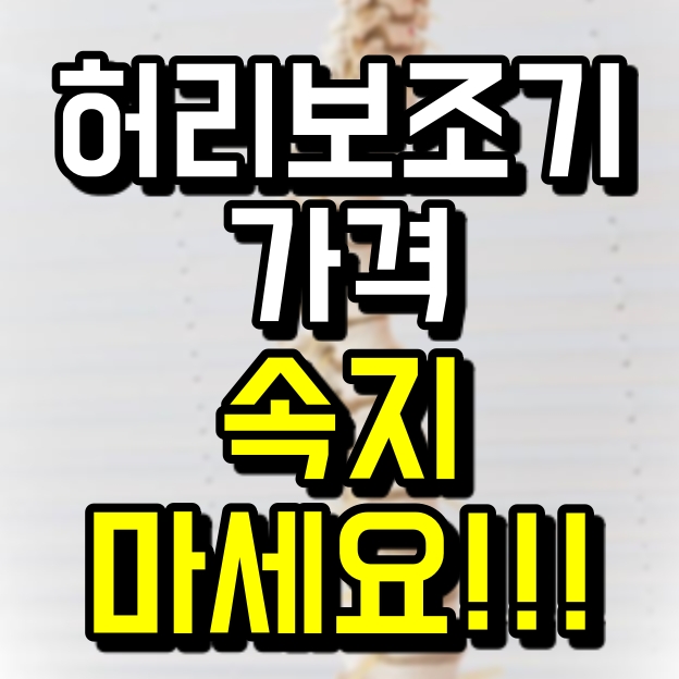  허리 보조기 이렇게 저렴했다고?!
