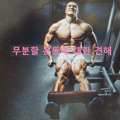  똑같은 부위 매일 운동해도 될까? 행짐, 무분할 운동에 대한 견해 오정동pt오전이벤트