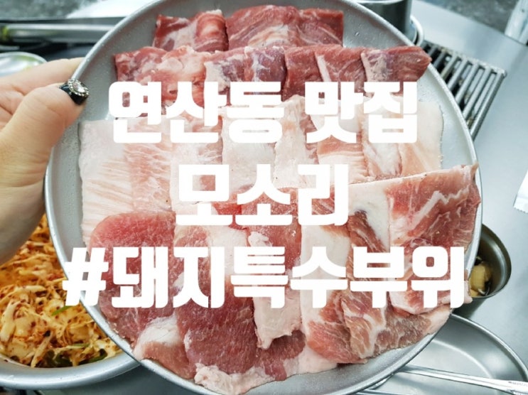 연산동 고기 맛집 / 돼지 특수부위가 맛있는 연산 모소리