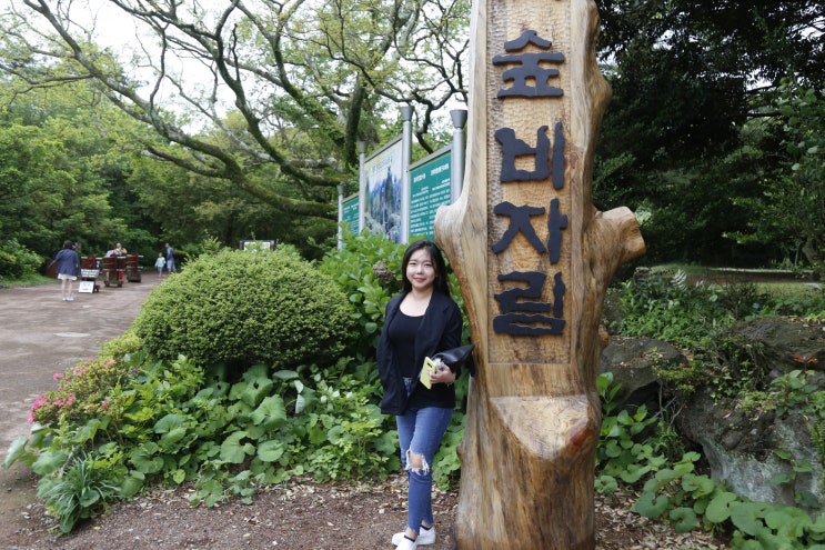  제주도 비자림 인정할 수 밖에없네!