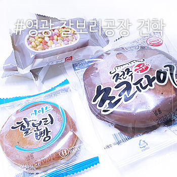  영광 찰보리 공장 견학 영광가볼만한곳