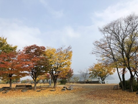 레위기와 함무라비 법전 (레위기 19장 1절 ~ 10절) 조약돌묵상