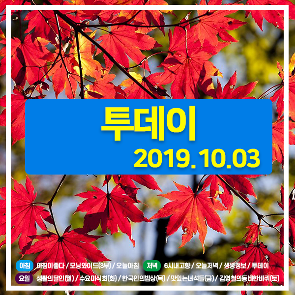 투데이 20191003 (2425) 만족도 100% 헤어샵 / 골목빵집-큐브크림빵 (경기 남양주) / 특제양념 한우갈비 (서울 강서) / 돈가스&쌀국수 3총사 (경기 파주)