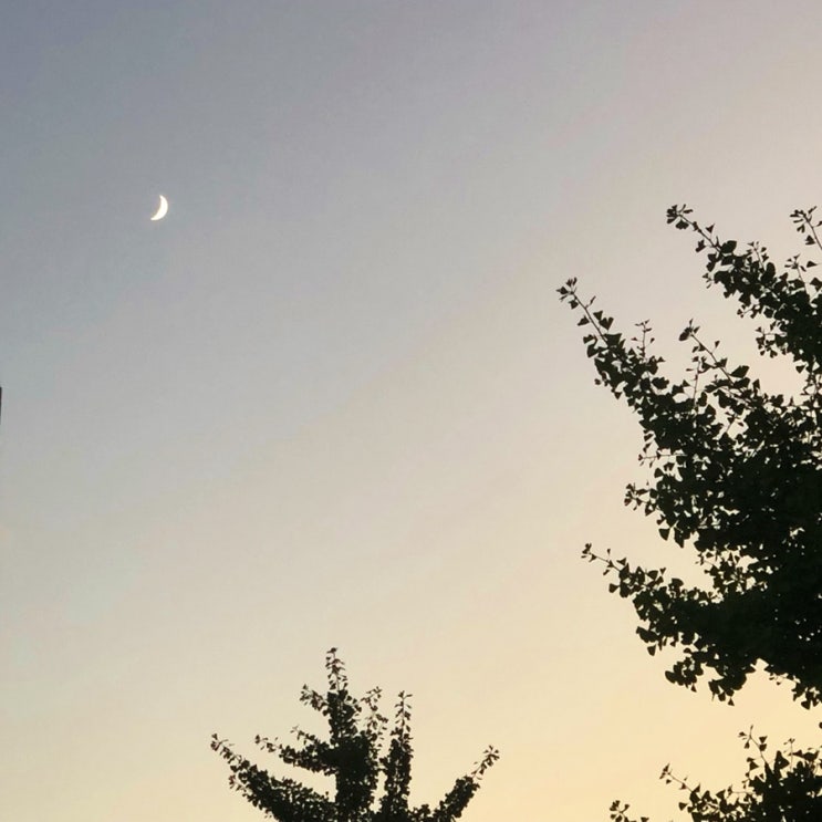 오랜만이야 !