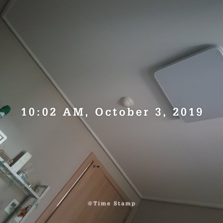 191003 취준일기 191003 취준일기